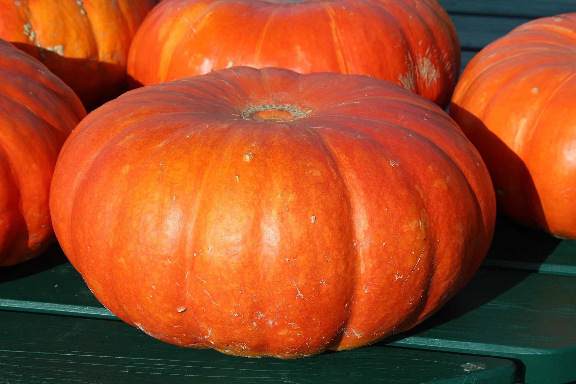 pumpkins-432607_1920